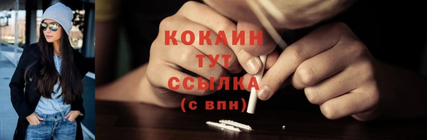 дживик Белокуриха