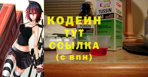 дживик Белокуриха