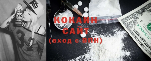 дживик Белокуриха