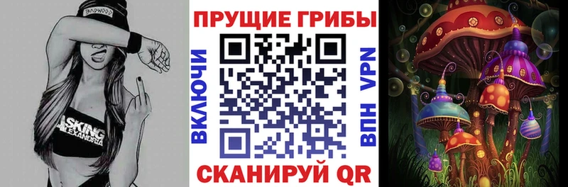 Галлюциногенные грибы прущие грибы  Выборг 